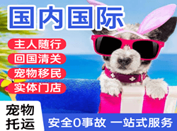 乌兰浩特义勒力特机场物流国际宠物托运 【国